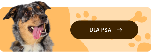 Dla psa
