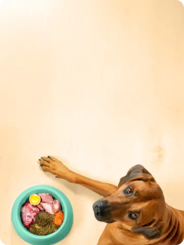Dbaj o zdrowie swojego pupila#Wybierz najlepsze karmy dla swojego zwierzaka!